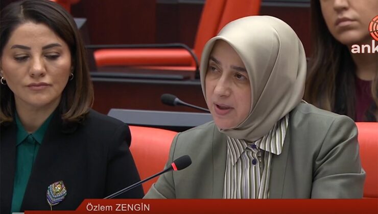 Özlem Zengin'in Davutoğlu sözleri, Gelecek Partisi'ni kızdırdı