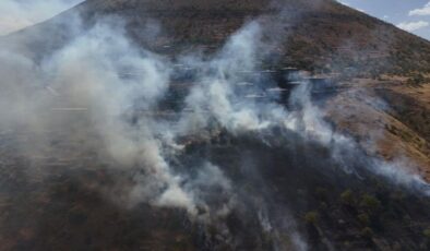 Patlıcan közlerken ormanı yakan şahıs yakalandı