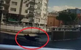 Polisten kaçarken düşen şahsın üzerinden uyuşturucu çıktı