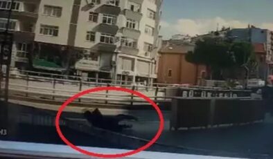 Polisten kaçarken düşen şahsın üzerinden uyuşturucu çıktı