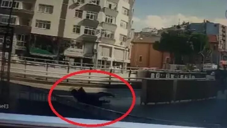 Polisten kaçarken düşen şahsın üzerinden uyuşturucu çıktı