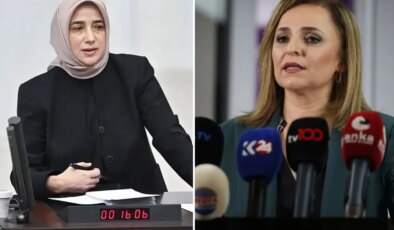 "Öcalan’a umut hakkı" polemiği! Özlem Zengin "Talep olmadı" dedi, DEM’den anında yanıt geldi