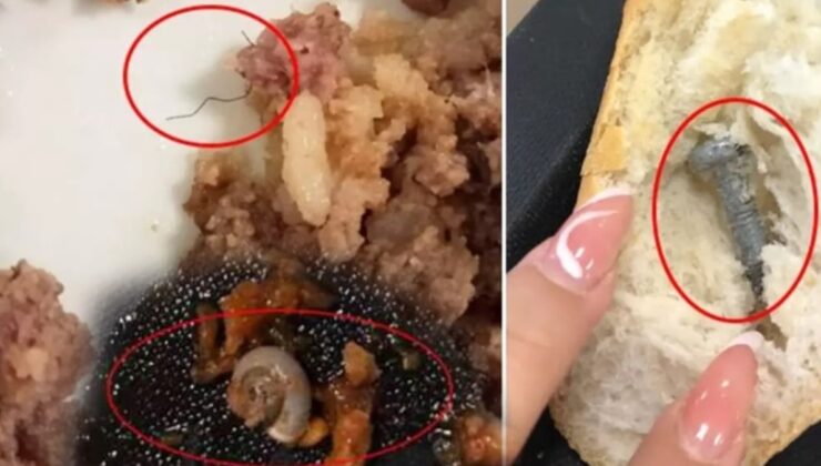 Salyangozlu patates, cıvatalı menemen, kıllı ciğer tava, vidalı ekmek… Önce siz yiyin beyler!
