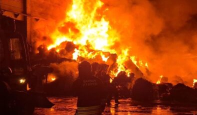 Samsun’da geri dönüşüm fabrikasında yangın