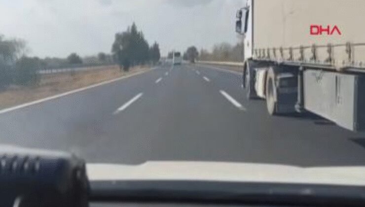 TIR’daki valizlerden 55 kilo skunk çıktı; ‘Arkadaşım rica etti’ dedi