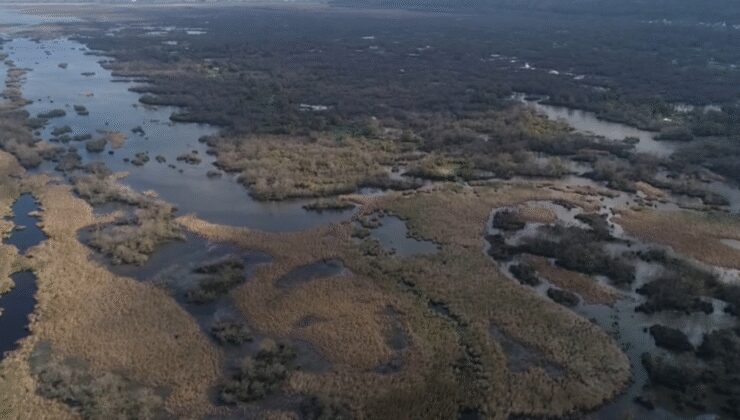 Türkiye’nin 3’üncü büyük longozu da kurudu