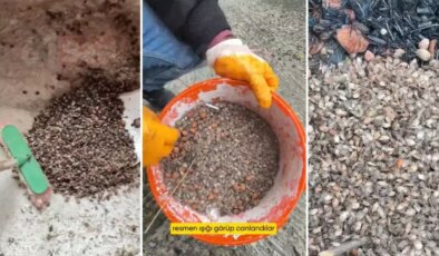 Türkiye’nin öteki gündemi! "Son virajdayız" diyen vatandaştan endişelendiren sözler