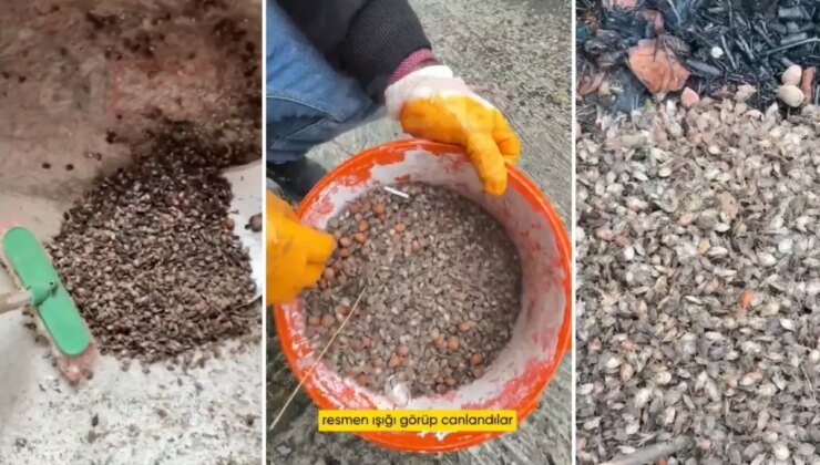 Türkiye’nin öteki gündemi! "Son virajdayız" diyen vatandaştan endişelendiren sözler