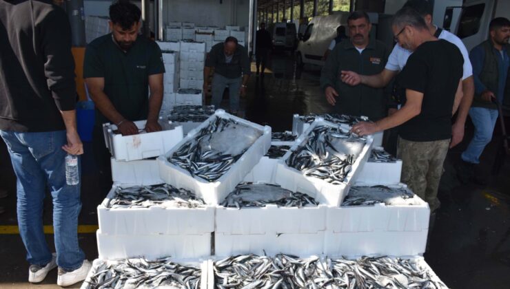 Türkiye'de tonlarcası tutuluyor, 19 ülke havada kapıyor