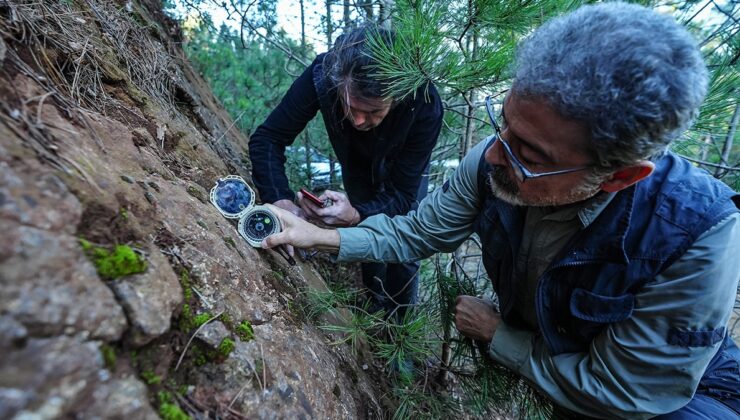 Ünlü deprem bilimciden korkutan uyarı: 'Bu bölgede 6 fay daha tespit ettik'
