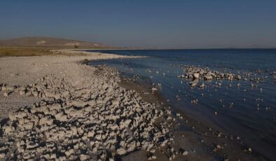 Van Gölü’nde kuraklık alarmı: Sular çekilince ortaya çıkan tablo korkuttu