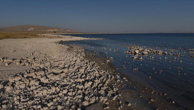 Van Gölü’nde kuraklık alarmı: Sular çekilince ortaya çıkan tablo korkuttu