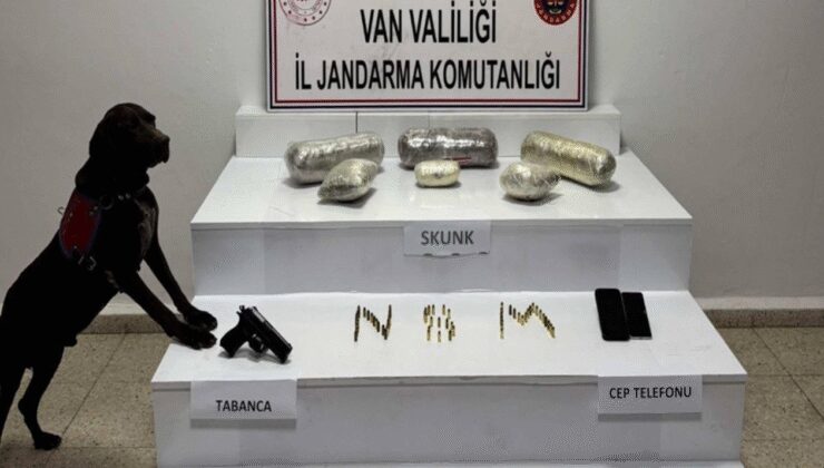 Van'da 4 kilo 311 gram skunk yakalandı