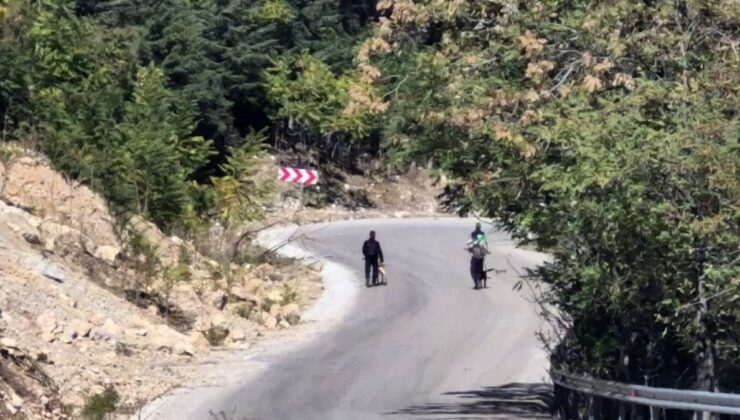 'Zirveye yakınım' dedikten sonra bir daha gören olmadı