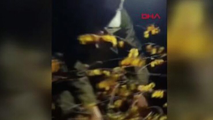 Yaban hayvanlarını avlamak için ses düzeneği kurmuşlar