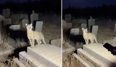 Yapay zekanın geldiği son nokta: Binlerce kişi gerçek sanıp paylaştı