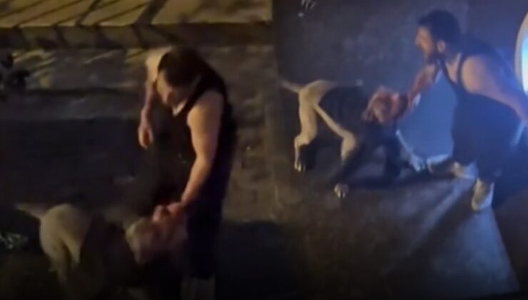 Yardım çığlıkları attı, kimse elinden alamadı… İstanbul'da korkunç Pitbull saldırısı!