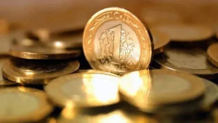 1 liranın maliyeti 4.5 liraya çıktı