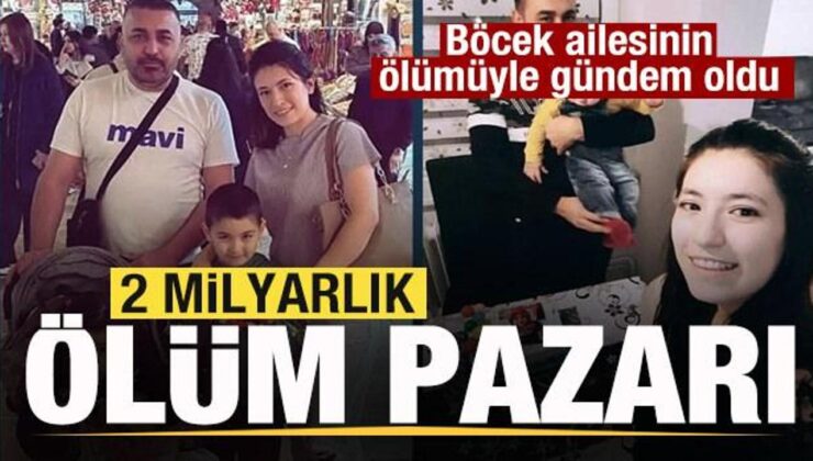 2 milyarlık ölüm pazarı! Böcek ailesinin ölümünün ardından gündem oldu