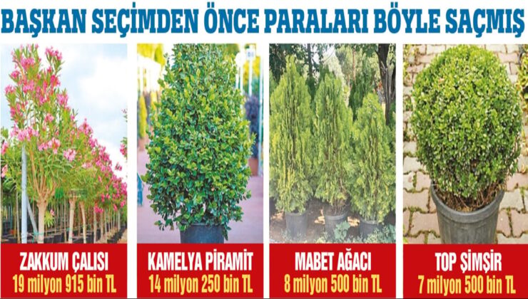 350 milyon lirayı çiçek etti!