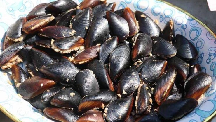 Aile faciası: Ortaköy’de midye yiyen 2 çocuk hayatını kaybetti, baba entübe edildi!