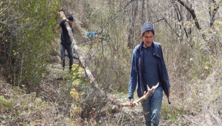 Akademisyen doğayı savundu, GES projesini yargıya taşıdı