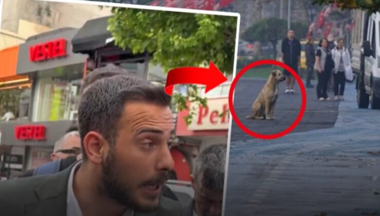 AKP'li isimden saygı duruşuna iğrenç paylaşım