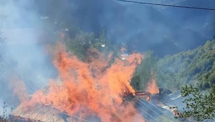 Artvin'de örtü yangınına müdahale ediliyor
