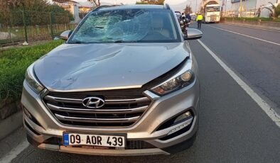 Aydın’da feci kaza! Bisikletli tüm müdahalelere rağmen kurtarılamadı