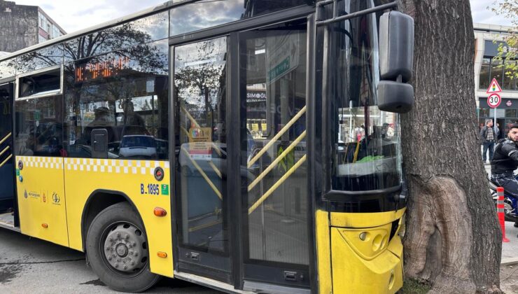 Bağcılar’da İETT otobüsü ağaca çarptı