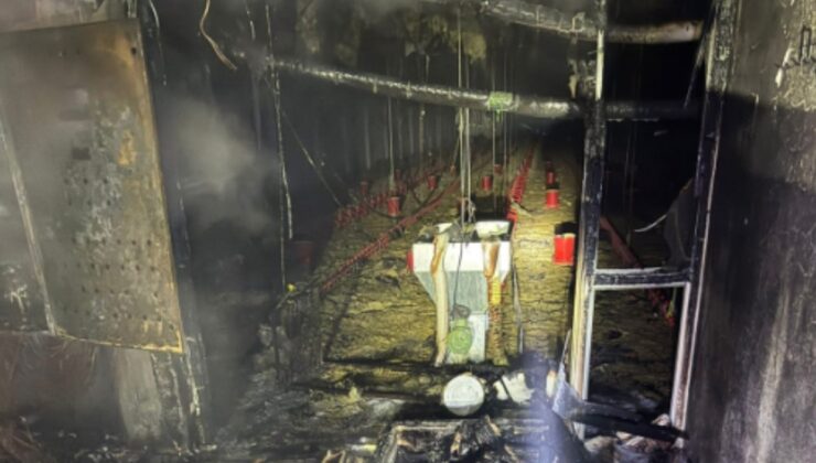 Balıkesir'de tavuk çiftliğinde çıkan yangında 5 bin civciv öldü