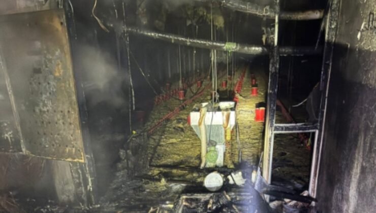 Balıkesir'de tavuk çiftliğinde çıkan yangında 5 bin civciv telef oldu