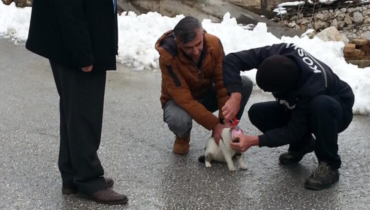 Başı konserveye sıkıştı! İmdadına temizlik personeli yetişti