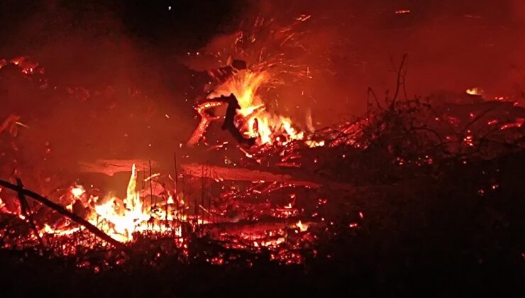 Bilecik'te arazide çıkan yangın söndürüldü