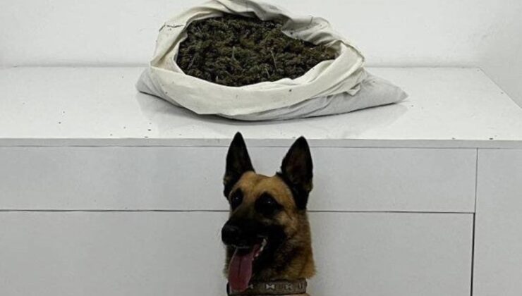 Bingöl’de uyuşturucu operasyonu: Gözaltına alınan 2 kişiden 1 tutuklandı 72 / 500