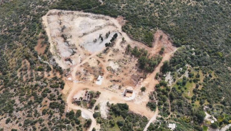 Binlerce yıllık zeytinler beton kurbanı oldu