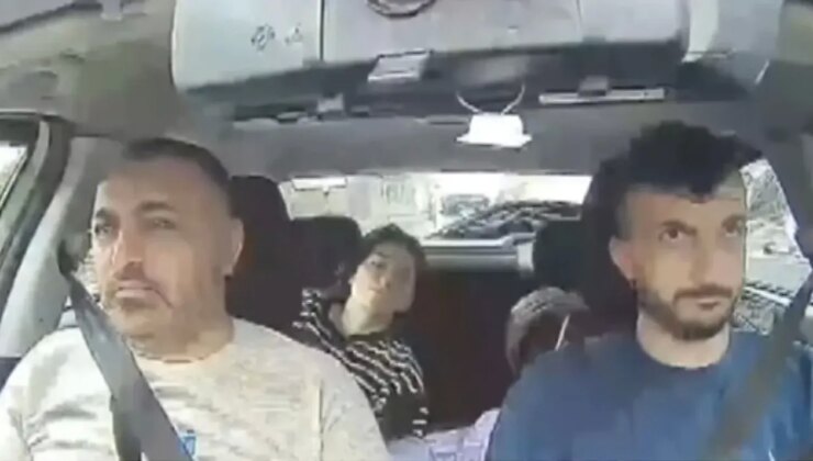 Böcek ailesini öldüren ‘ticari’ sır!