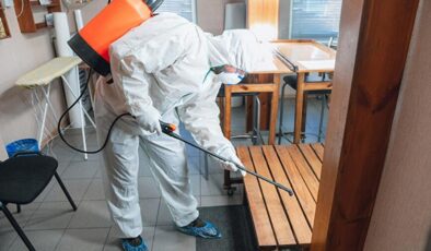 Böcek ailesinin ölümünde gözler oraya çevrildi: 3 şirketten biri kayıtdışı!