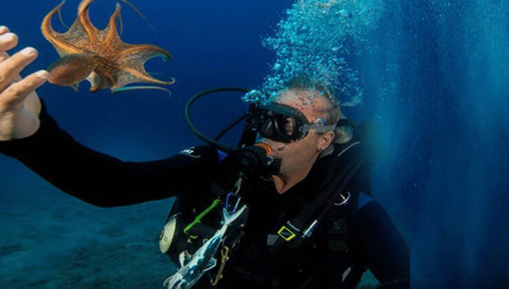 Bodrum’da ünlülerin dalış eğitmeni evinde ölü bulundu