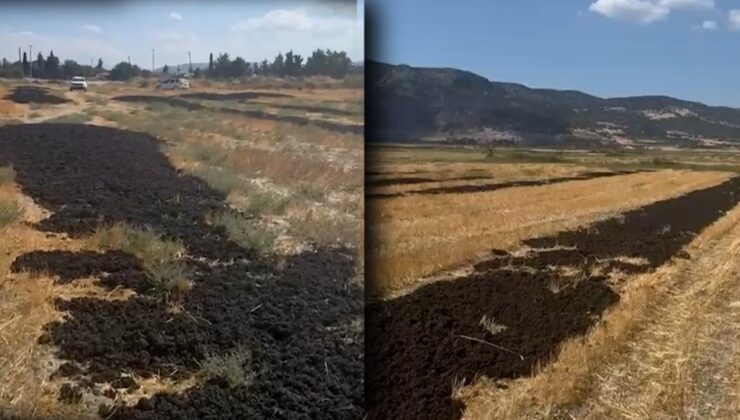 Boş araziye arıtma çamuru döktüler! 3 işletmeye inceleme