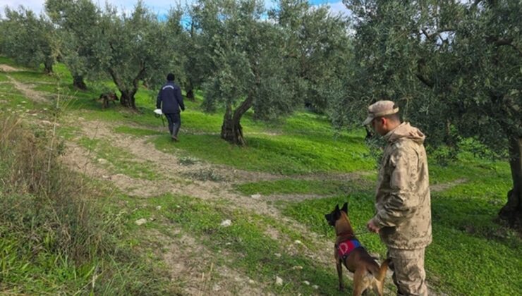 Bursa’nın Mudanya ilçesinde kaybolan 80 yaşındaki Mustafa Abi aranıyor
