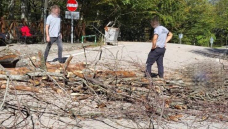 Bursa'da üzerine ağaç devrilen belediye işçisi yaşamını yitirdi