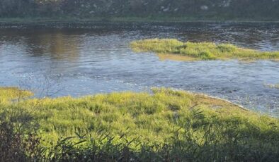 Canbolu Deresi’nde acı oyun: 10 yaşındaki Hızır Ali hayatını kaybetti