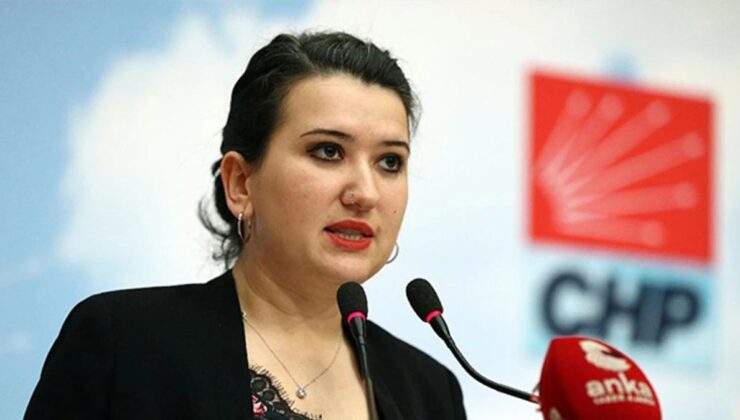 CHP'li Gökçe Gökçen'den Tayfun Kahraman açıklaması