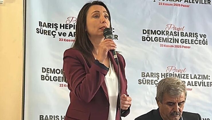 DEM Parti'den CHP'ye: 'İmralı'ya gitmenizi çok istiyoruz'