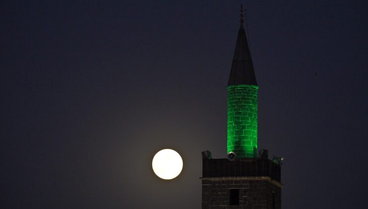 ‘Kunduz ayı’ kartpostallık görüntüler oluşturdu