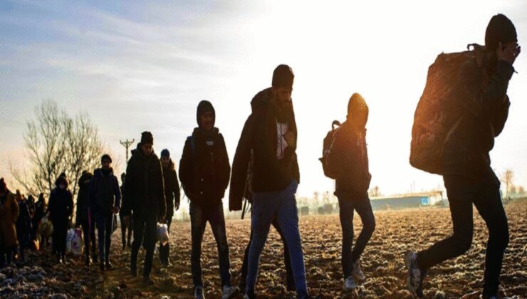 Edirne ve Kırklareli'nde 17 düzensiz göçmen yakalandı