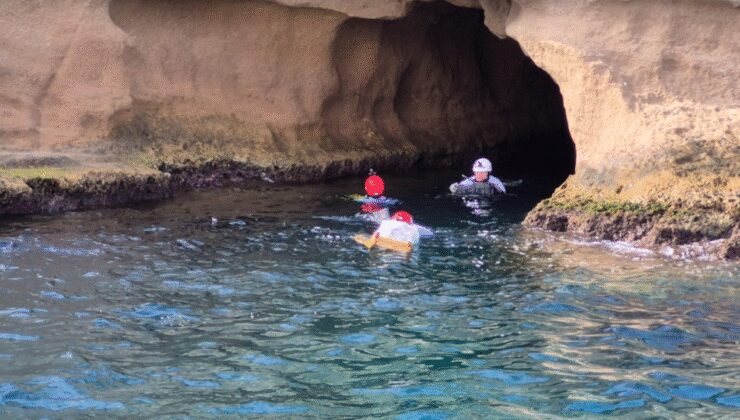 Ege’de fokların barınma alanları kameralarla donatılıyor