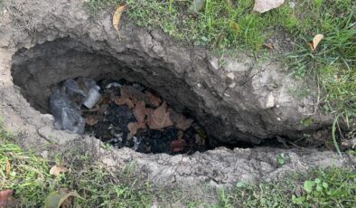 Elma bahçesinde endişelendiren olay! Evlerin duvarları çatladı