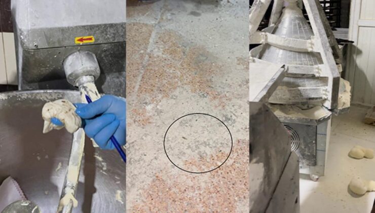 Fırına giren ekipler şoke oldu: Mide bulandıran görüntü! Böcek çeşidi saymakla bitmedi